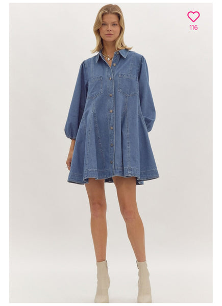 Daryn denim dress